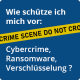 Cybercrime